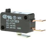 V7-1Z13E9