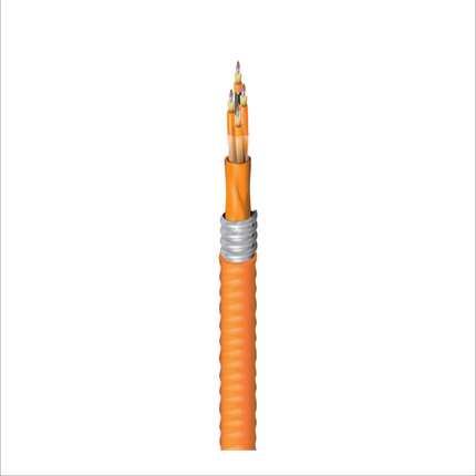 FI2D048FK-ORG