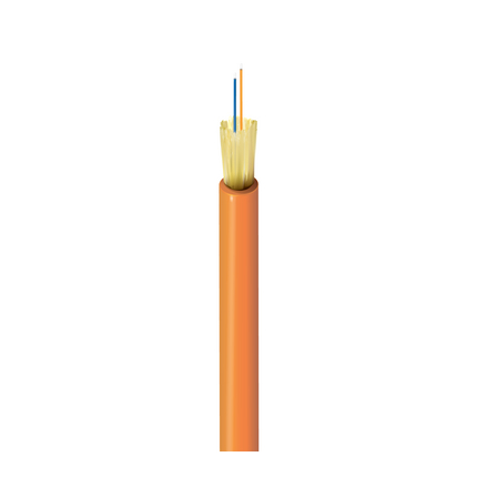 FI1I002P0