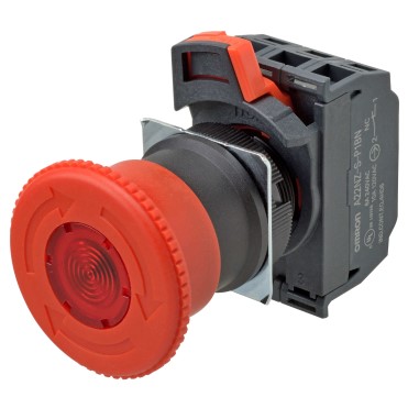 A22NEMP202C