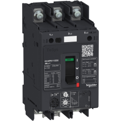 GV4PE115N6 by schneider electric