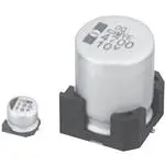 EMVE250ADA101MF80G