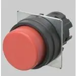 A22NZBPMNWA