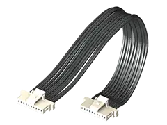 S1SS-10-30C-GF-06.00-D-NUS