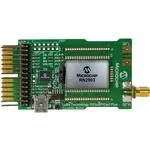 RN-2903-PICTAIL