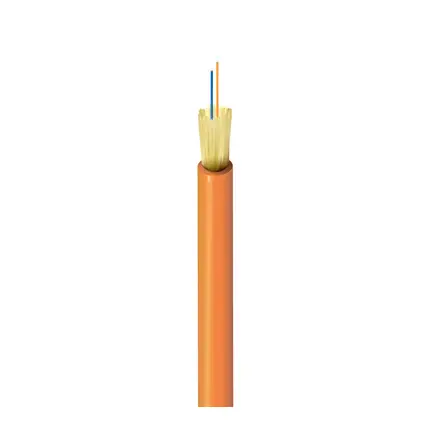 FI1I002P0