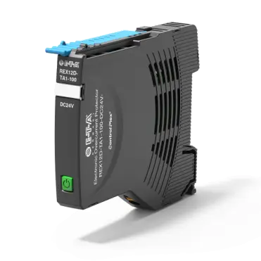 REX12D-TA1-100-DC24V-10A