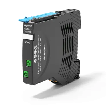 REX12D-TA2-100-DC24V-2A/2A