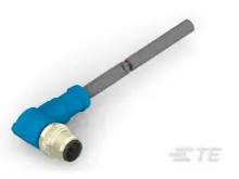 T4161220003-003