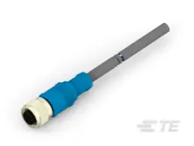 T4161320002-004
