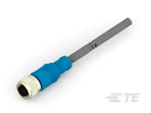 T4161320005-003