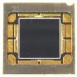 OPR5913