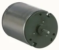 82860004
