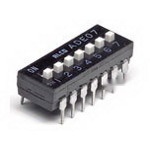 ADE1004